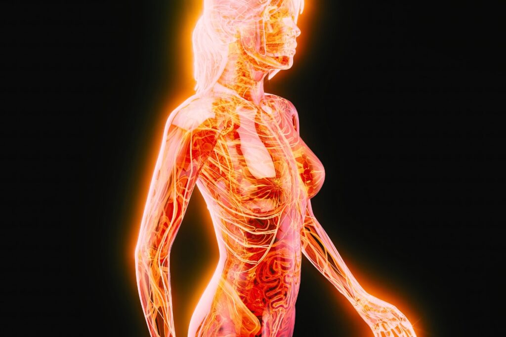 Ilustračná vizualizácia ženského tela s červeno-oranžovou žiarou, symbolizujúca perimenopauzu a zápalové procesy