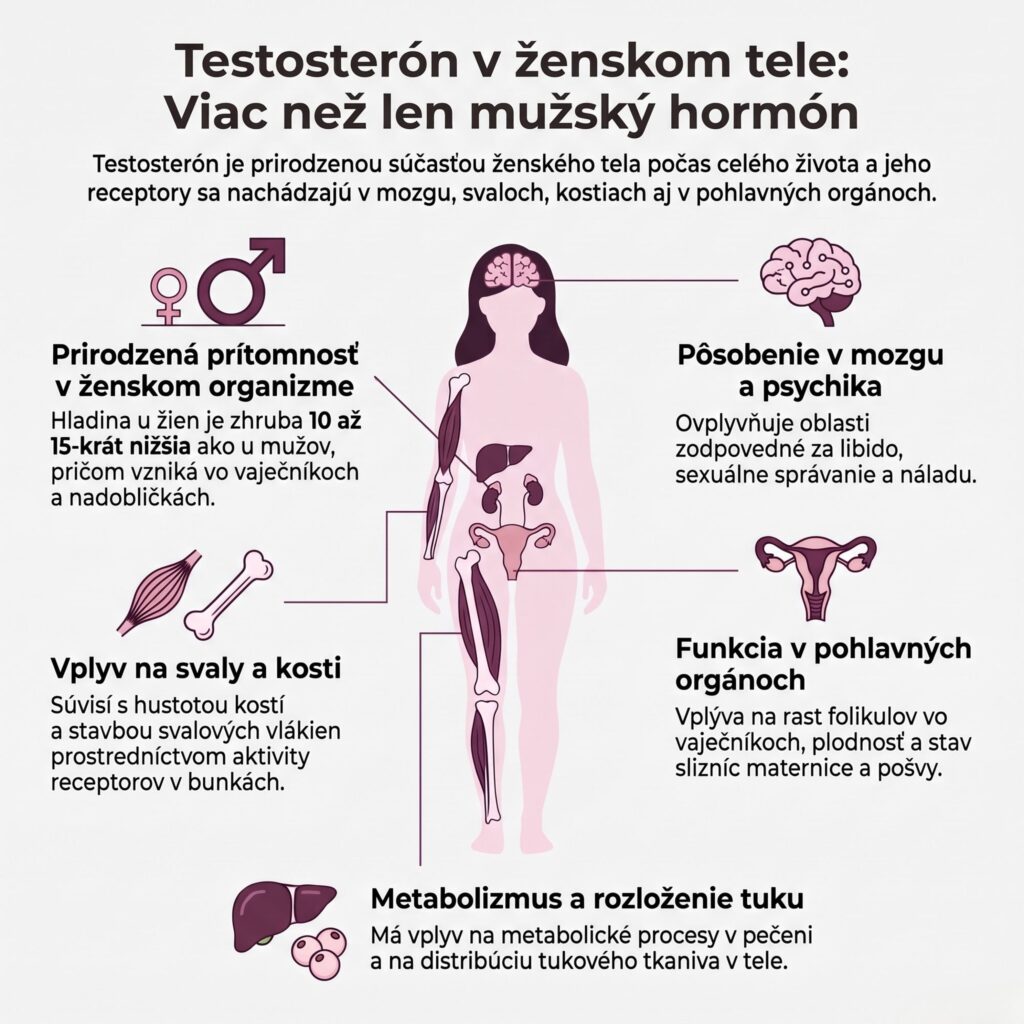 Pôsobenie testosterónu na mozog, svaly, kosti a pohlavné orgány ženy.